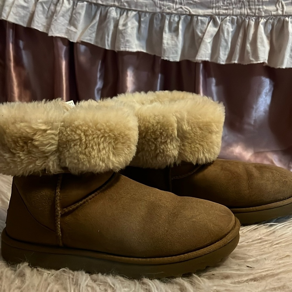 Chestnut Short Uggs